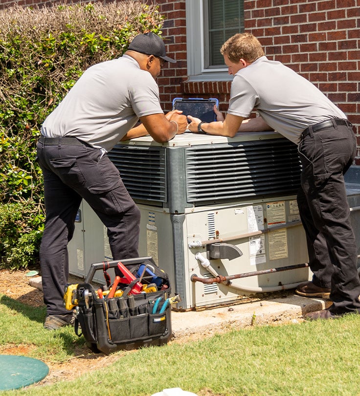 a group of people standing in the grass